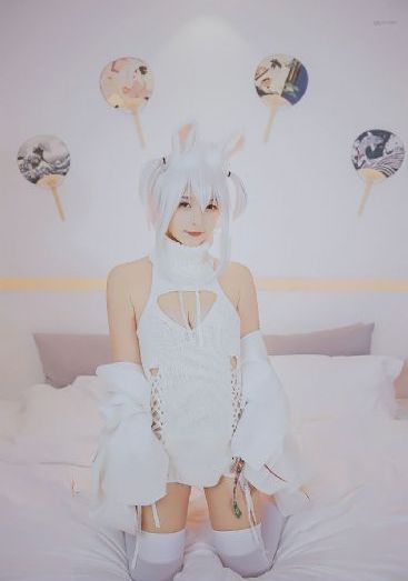 南海归墟电视剧免费观看